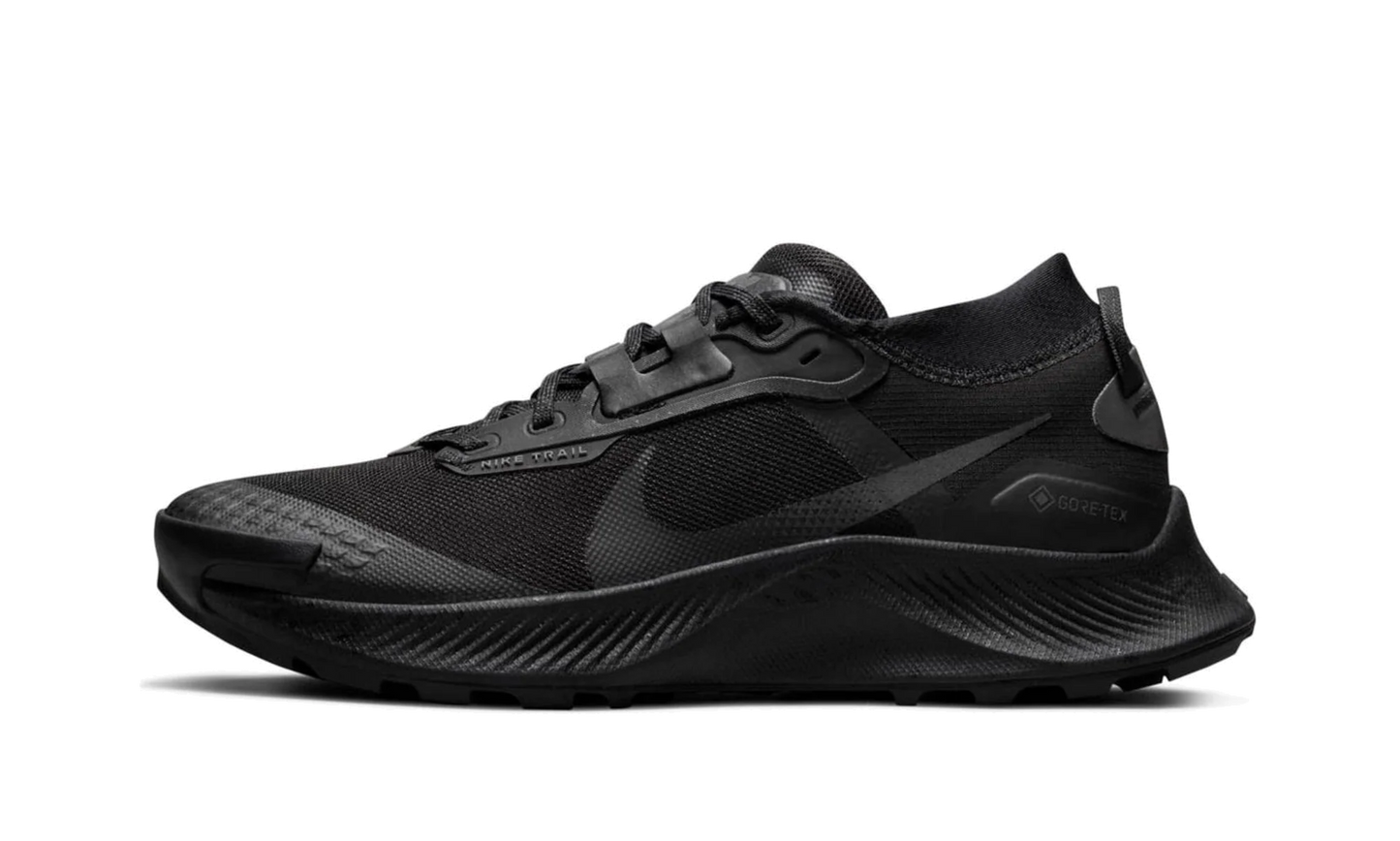 Pegasus Trail 3 Gore-Tex Wmns"Black" DC8794 001