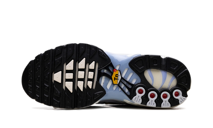 Air Max Plus WMNS"Daybreak" DZ3670 004
