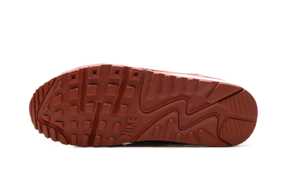 Air Max 90 Futura WMNS"Red Stardust" FQ8881 618