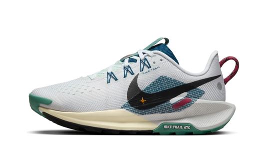 Pegasus Trail 5 Wmns"Court Blue" DV3865 100