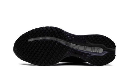 Pegasus Premium SE WMNS"Cave Purple" IH0861 500