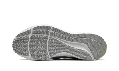 Air Zoom Pegasus 39 Wmns"White" DH4072-100