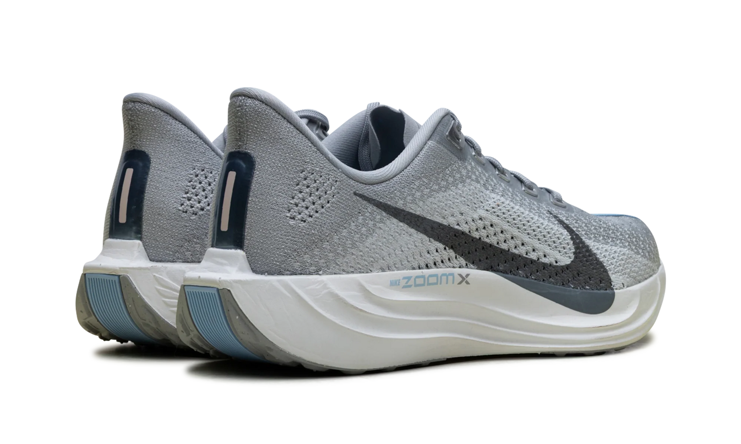 ZoomX Pegasus Plus Wmns"Grey" FQ7261-004