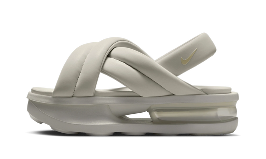 Air Max Isla Sandal WMNS"Light Bone" FJ5929 001