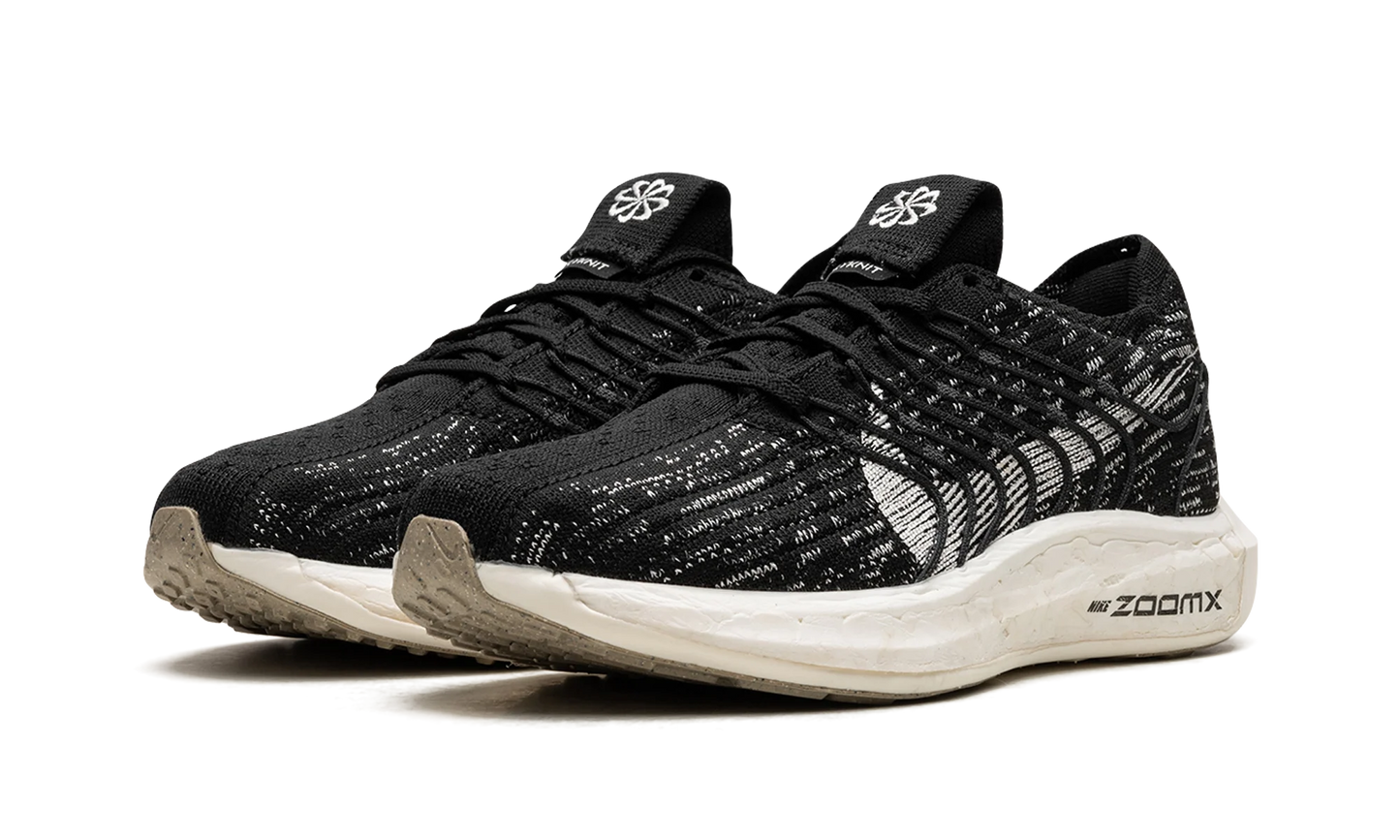 PEGASUS TURBO NEXT NATURE WMNS"Black Sail" DM3414 001