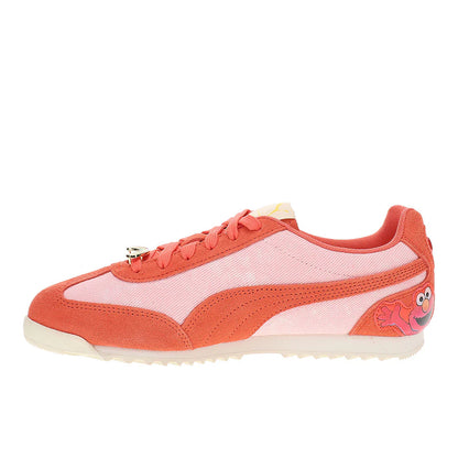 X CARE BEARS X SESAME STREET Arizona Lace Up Sneakers