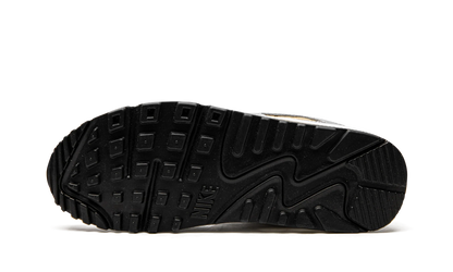 AIR MAX 90 SE MNS WMNS"Metallic" DJ6208 100
