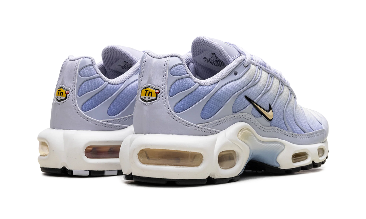 Air Max Plus WMNS"Daybreak" DZ3670 004