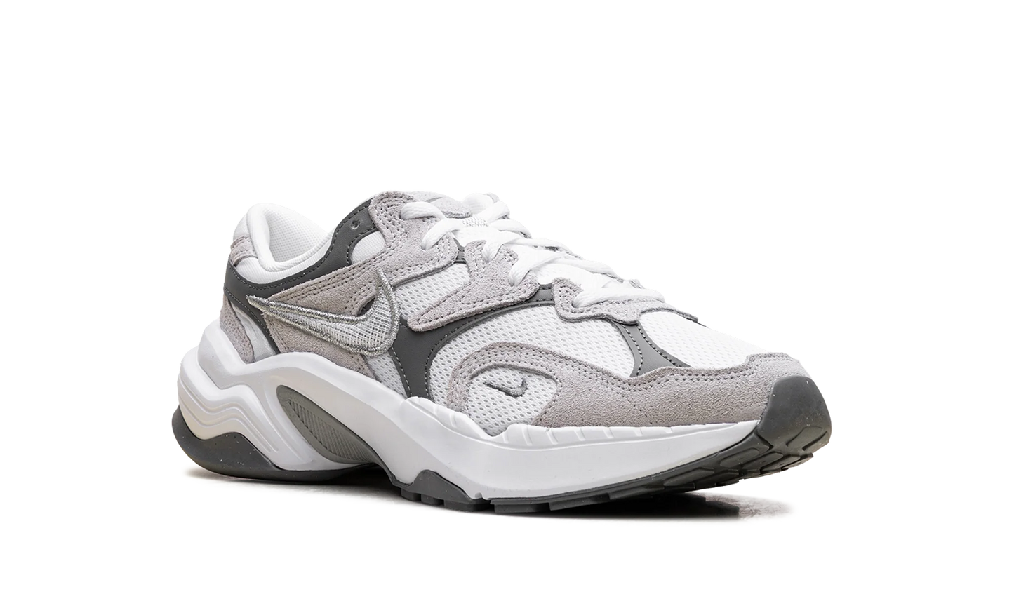 AL8 WMNS"Smoke Grey Metallic Silver" FJ3794 101